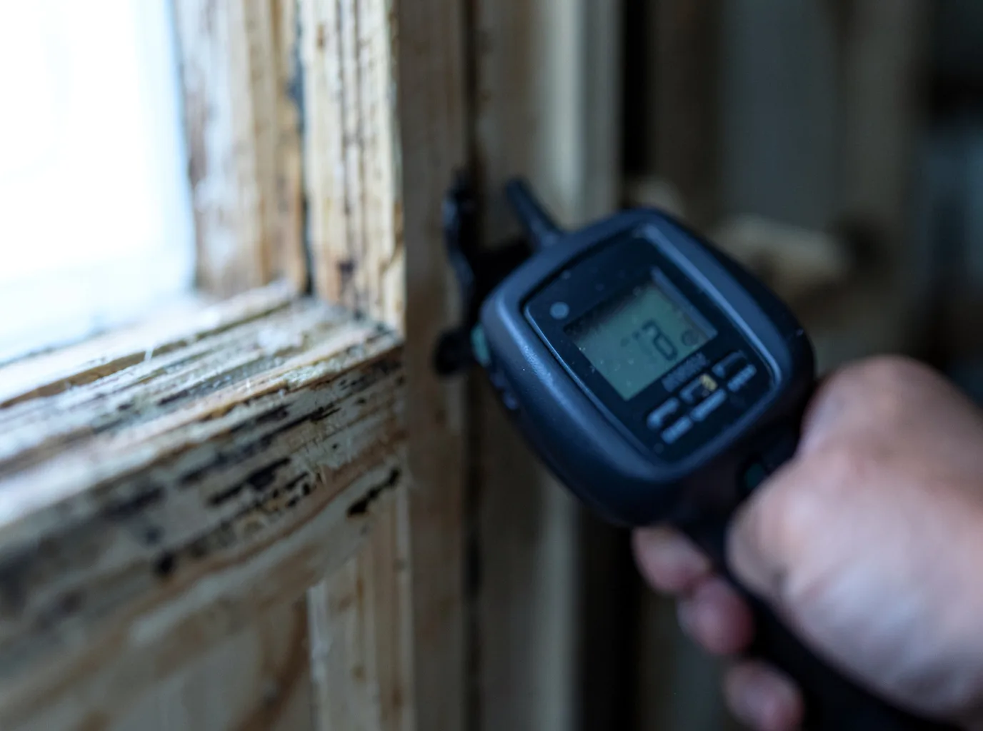 Moisture Inspection And Documentation in Dakota, IL